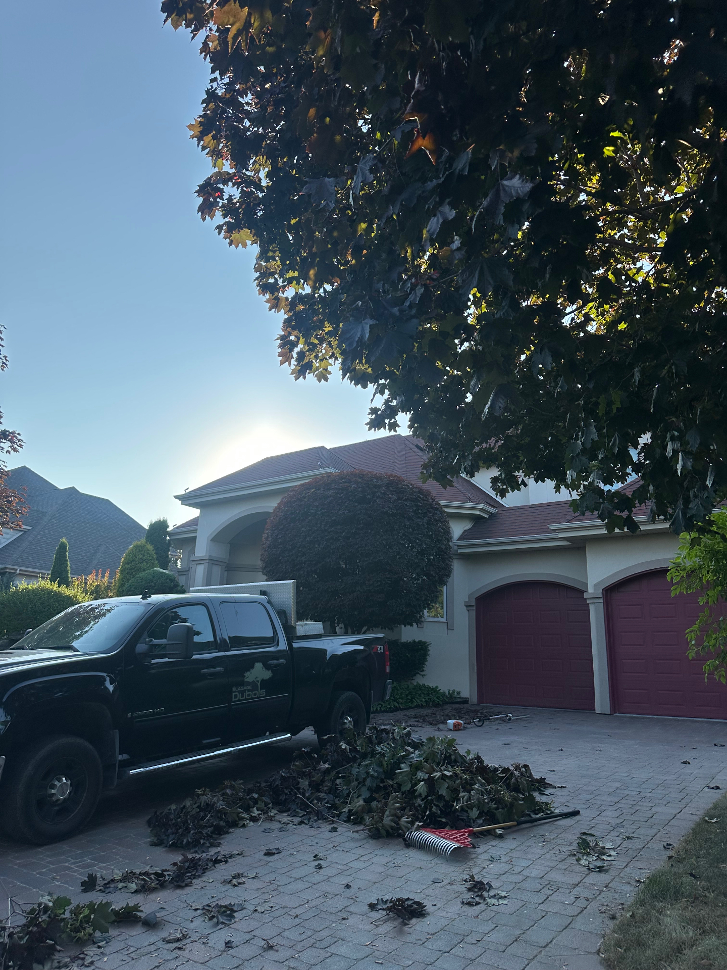 Camion Élagage Dubois et branches ramassées dans une entrée de garage